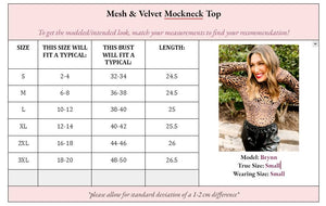 Mila Mesh & Velvet Mockneck Top PREORDER