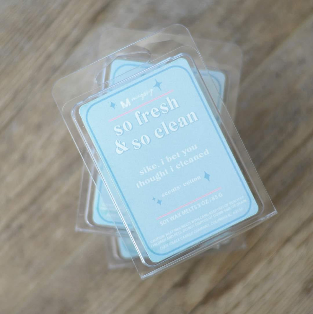 Snarky Wax Melts