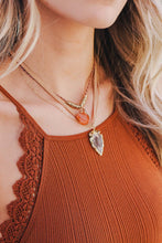 Load image into Gallery viewer, Carnelian &amp; Brown Agate Suede Necklace Jewelry Gold